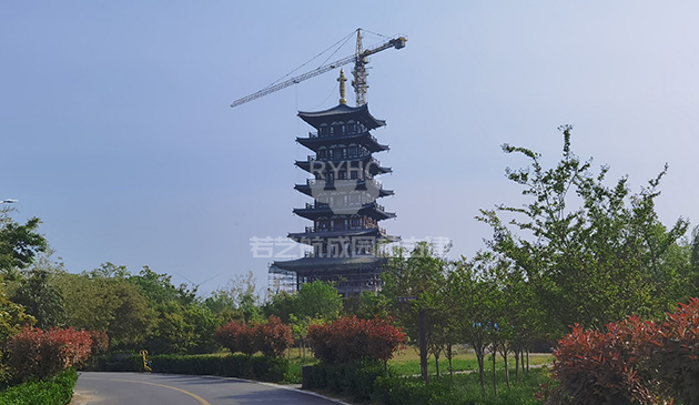 濮陽(yáng)南樂(lè)德善閣工程